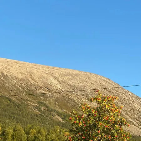 Huset Naert Blaisvannet *